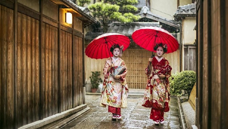 Geisha di Kyoto Full length of young maikos holding red umbrellas during rainy season. Beautiful geisha girls wearing traditional dress called kimono. They are walking on wet street.