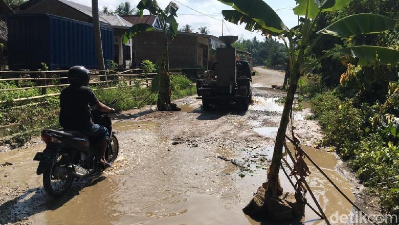 Protes Jalan Rusak, Warga Polman Sulbar Tanam Batang Pohon di Jalanan Protes Jalan Rusak, Warga Polman Sulbar Tanam Batang Pohon di Jalanan