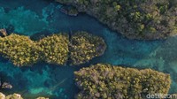 Selain berenang, wisatawan juga bisa melihat pemandangan dengan cara memanjat tebing karang. Di sanalah pemandangan indah Pulau Bair terlihat dengan jelas. Tetapi, harus sangat berhati-hati ketika memanjat dan turun dari tebing karang itu karena karangnya cukup tajam (Foto: Didik Dwi Haryanto/detikcom)