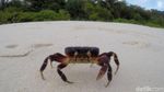 Menjelajah Pulau Senoa yang Memesona