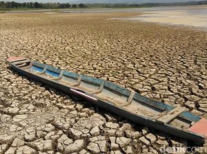 Potret Waduk Mrica Banjarnegara Mengering Akibat Kemarau