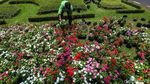 Yuk Intip Bunga Warna-warni di Taman Medan Merdeka Selatan