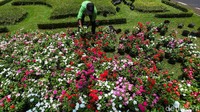Bunga warna-warni menghiasi taman di Jalan Medan Merdeka Selatan, Jakarta Pusat, Rabu (30/10/2019).