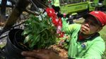Yuk Intip Bunga Warna-warni di Taman Medan Merdeka Selatan