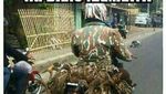 Meme Bebek Ini Tunjukkan Bebek Tak Hanya Enak Digoreng Tapi Juga Bikin Ketawa