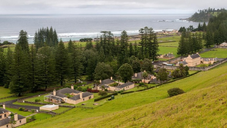 Foto: Ilustrasi Norfolk Island (iStock) Foto: Ilustrasi Norfolk Island (iStock)