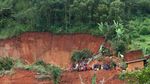 42 Orang Tewas Akibat Tanah Longsor di Kamerun