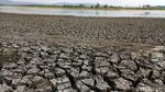 Potret Waduk Mrica Banjarnegara Mengering Akibat Kemarau
