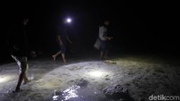 Satu per satu area di sekitar Pelabuhan Pulau laut tersebut disisiri oleh para warga untuk berburu kepiting maupun ikan.