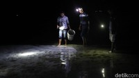 Kegiatan berburu ikan dan beragam hasil laut di malam hari tersebut dilakukan secara berkelompok.