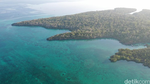 Dari kejauhan terlihat sebuah dermaga dengan hutan disekelilingnya. Turun dari kapan, kami menginjakan kaki di dermaga dan terlihat papan besar bertuliskan Pulau Baer (Foto: Didik Dwi Haryanto/detikcom)