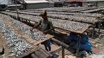 Warga Muara Angke Tolak Penggusuran