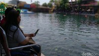 Umbul Ponggok merupakan kolam dengan ukuran 100x50 meter, airnya yang berasal dari mata air. Kealamian airnya sangat terjaga. (Foto: Achmad Syauqi/detikcom)