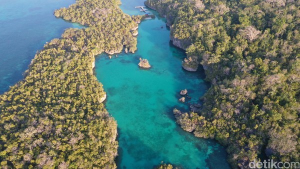 Jika membawa alat snorkelling, bisa terlihat terumbu karang dan ikan-ikan kecil yang berenang di sana (Foto: Didik Dwi Haryanto/detikcom) Jika membawa alat snorkelling, bisa terlihat terumbu karang dan ikan-ikan kecil yang berenang di sana (Foto: Didik Dwi Haryanto/detikcom)