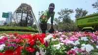 Petugas Dinas Kehutanan DKI merapikan pot-pot bunga di taman Jalan Medan Merdeka Selatan.