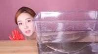Kocak! Begini Ekspresi YouTuber Korea Cicip Lele Goreng Pertama Kali