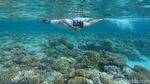 Pesona Keindahan Bawah Laut Pulau Senoa di Natuna
