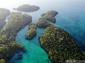 RI Tangkap Peluang Karbon Biru dalam Upaya Menekan Emisi