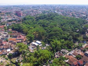 Hutan Mini Jantung Kota Jogja