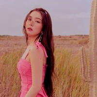 Irene Red VelvetSelain Twice, kehadiran Red Velvet dipastikan akan membuat para tentara menggila. Penampilan cantik para personel dan lagu-lagu mereka memang dinantikan para pria. Tak heran jika Irene yang wajahnya sering ditiru untuk operasi plastik ini masuk dalam daftar. Foto: Instagram @redvelvet.smtown
