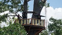 U Fangnan O, Aku Sayang Kamu Hutan Bakau Dian Darat