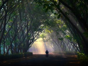 Menembus Kabut