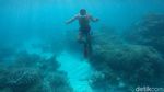 Pesona Keindahan Bawah Laut Pulau Senoa di Natuna