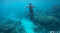 Selain snorkeling, pengunjung juga dapat melakukan diving maupun paddle board lho.