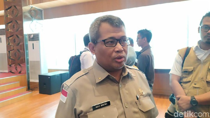Kepala Pusat Data, Informasi, dan Humas BNPB Agus Wibowo (Farih Maulana Sidik/detikcom)