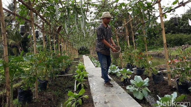 Jogja Youth Farming di Bantul