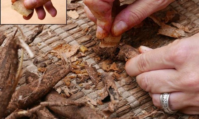 Fakta Menarik Pola Makan Manusia Purba di Jaman Dulu