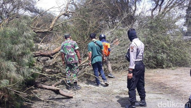Penertiban Tambak Udang di Selatan Bandara YIA Dapat Perlawanan Warga