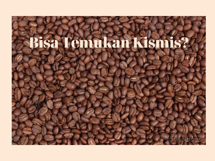 Bisa Jawab Semua dengan Benar? Berarti Kamu Punya Otak Encer!