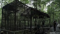 Menurut warga taman mangrove tersebut tidak terawat karena kurangnya perhatian dari pihak Pemda setempat.