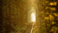 Memang benar, terowongan ini diselimuti oleh rimbunan pohon hijau yang sangat lebat. Rasa sejuk, tenang dan damai selalu menemani setiap langkah Anda di dalam Tunnel of Love (iStock)