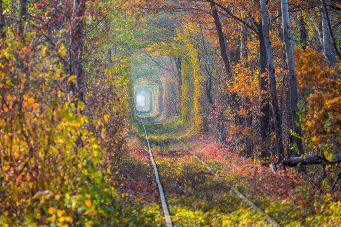 Symbol of heart on the background of tunnel of love.
