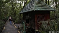 Bangunan musala di kawasan konservasi itu pun nampak rusak karena kurang perawatan.