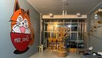 Gemas! Kafe Bertema Kucing Ini Sangat Cocok Buat Pecinta Kucing