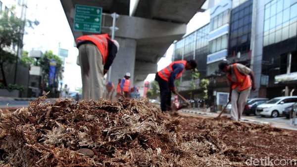 Penghijauan di Kolong Jalur MRT Blok M Bikin Adem