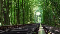 Sebenarnya Tunnel of Love adalah terowongan kereta biasa. Yang membuatnya spesial adalah terowongan ini terbuat dari pepohonan. Hijau, sepanjang mata memandang yang terlihat hanya pohon hijau (iStock)