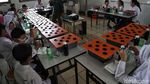 Serunya Belajar Membuat Tanaman Hidroponik