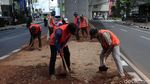Penghijauan di Kolong Jalur MRT Blok M Bikin Adem