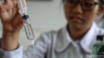 Serunya Belajar Membuat Tanaman Hidroponik