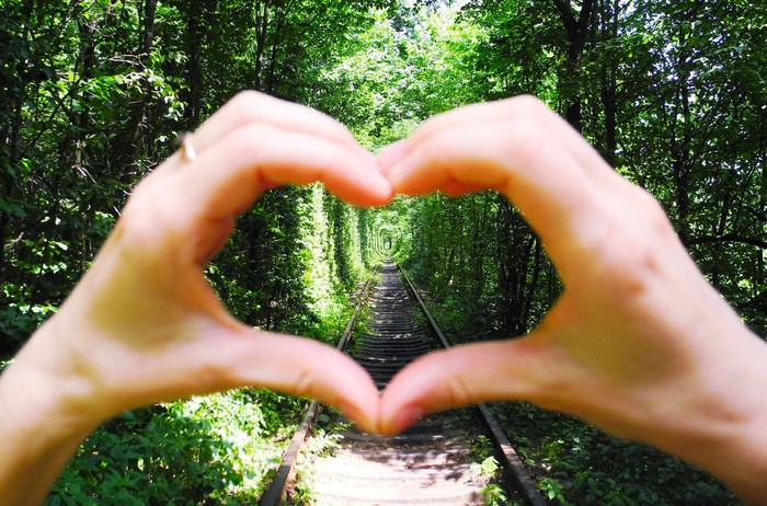 Symbol of heart on the background of tunnel of love.