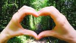 Terowongan Paling Romantis Dunia
