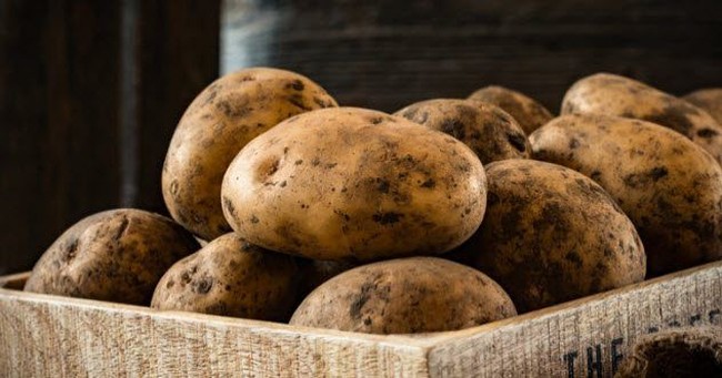 Hati-hati! 5 Jenis Sayuran Ini Pernah Membunuh Manusia Hati-hati! 5 Jenis Sayuran Ini Pernah Membunuh Manusia