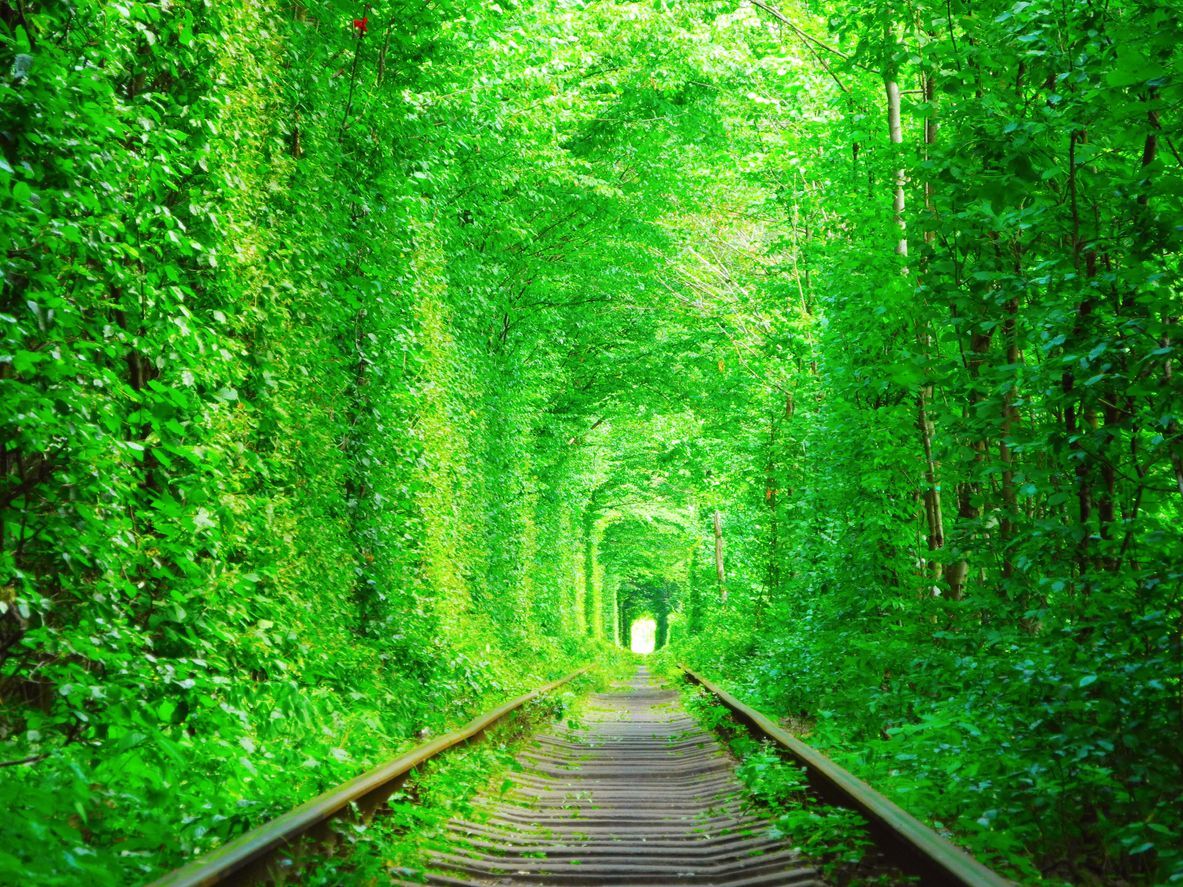 Symbol of heart on the background of tunnel of love.