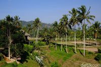 Di Bali, Foodies Bisa Makan Enak dan Belajar Bikin Kopi di Sini