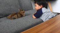 Foto: Instagram @catsvillageGemasnya bersantap ditemani kucing-kucing lucu ini, ajak teman Anda ke Cats and Coffee untuk meminum kopi kesukaan Anda.