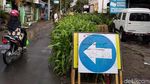 Wow! Ada Kebun Jagung di Tengah Jalan